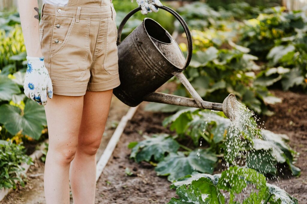 Transform Your Garden