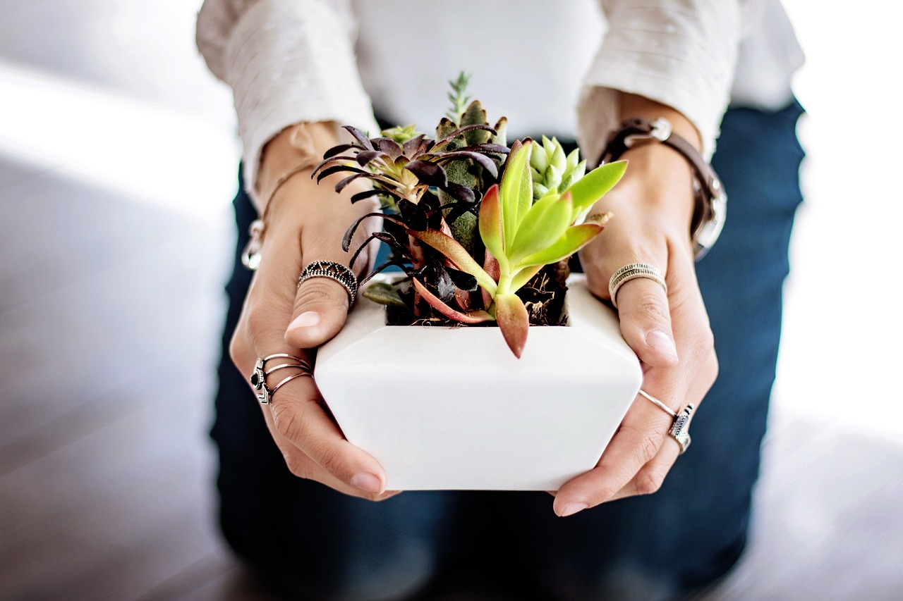 best environment for different plant species