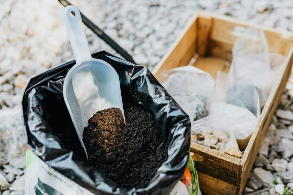 Nutrient-Rich Soil and Fertilization